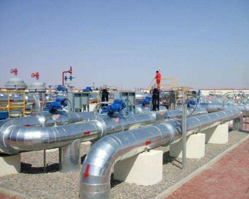 ��������չʾ